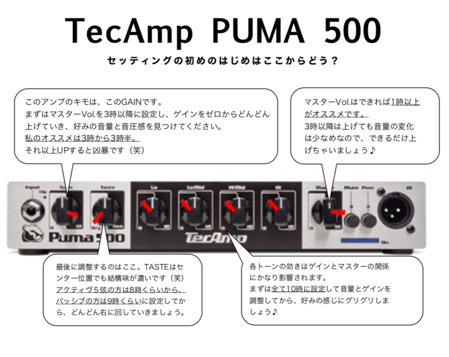 最近人気のベースアンプ【PUMA 500 by TecAmp】セッティングはここから 